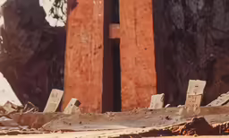 an open air zoo enclosure that has a red bird