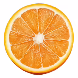 orange slice with white background and reflection