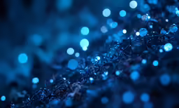 several rows of droplets are seen in this photo