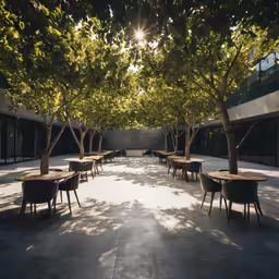 an open space with trees and benches in it