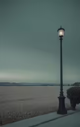 a lamp post in an empty field at night