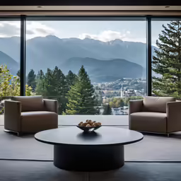 two leather sofas and a table are near a window
