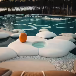 orange on white pieces of rock in an outdoor pool area