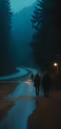 two people walking down the road in the woods at night