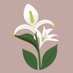 two white flowers on a pink background,the white flowers on the stem are being depicted in this painting