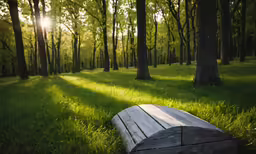 a wooden bench on the ground by a tree