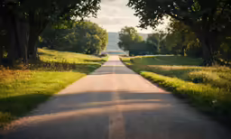 a straight road with trees along the side