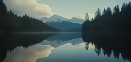 snow covered mountain reflected in lake near trees