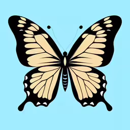 a black and white butterfly with yellow wings,a butterfly is sitting up against a blue background