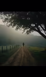 the person is walking in a field next to a tree