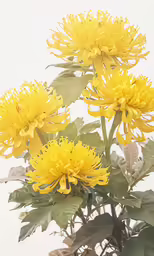 a yellow flower sitting next to a plant