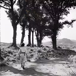 a person walks through the woods by some trees
