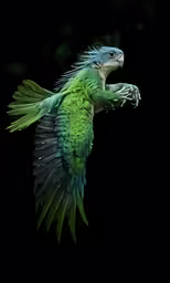 green and blue parrot flying on a black background