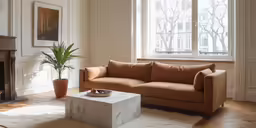 a living room with a couch and potted plant