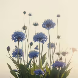 a large group of blue flowers sitting under a white sky