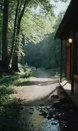 a person in the woods with a cabin in the background
