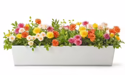 a white pot filled with colorful flowers