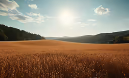 a view from the prairie where some animals are grazing