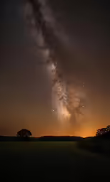 a night scene with the milky and a tree