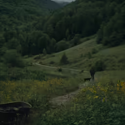 a person walking down a path with their dog