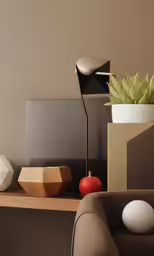 there is a cactus in a vase and an egg on a table