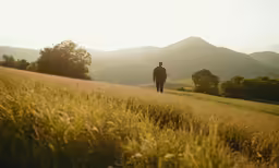 the man is walking through the grass covered hills