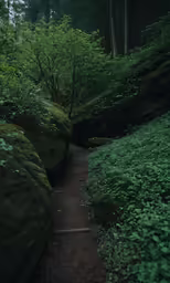 there is a narrow trail going between large rocks