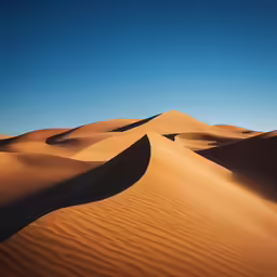 sand dunes rise in the distance with a clear blue sky