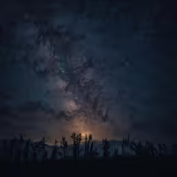 the milky is visible above a forest as stars shine in the distance