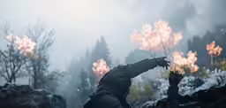 a person reaching out to a forest with snow on the ground