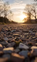 a street with a bunch of rocks and trees