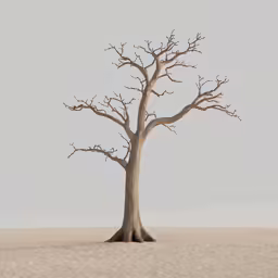 a bare tree standing in a desert like landscape