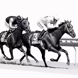 a couple of horses racing around a track