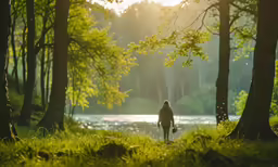 a man is walking on the grass next to trees in the sun