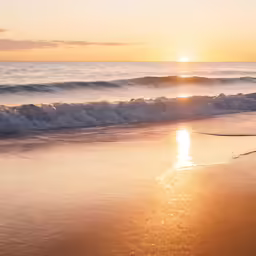 a lone surfer stands on the shoreline as the sun sets