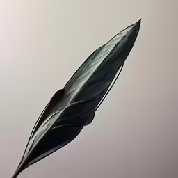 a green leaf sitting on top of a tree