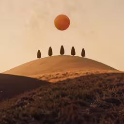 five trees standing in front of the sun on top of a hill