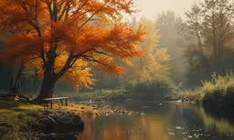 an image of a fall scene from the woods