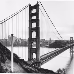 a view of the golden gate bridge from atop the hill