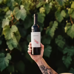 a person holding a wine bottle with a label on it