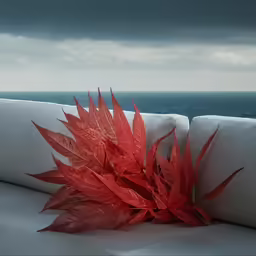 red leaves on the back end of a white couch
