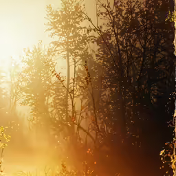 the image shows trees with very bright yellow lights