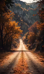 the sun is setting on an empty dirt road