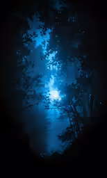 a view up into a thick forest at night