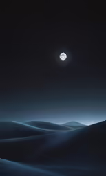 desert night by a moon on a full moon