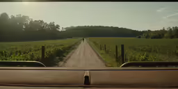 an empty road and the sun shining in front