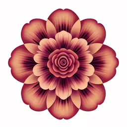 a red flower with pink petals is shown,a pink and yellow flower with a white background,an illustration of a red flower with petals on a white background,a flower with a white center in the middle,an illustration of a flower that is pink and orange
