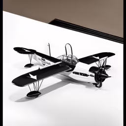 a black and white image of a small airplane