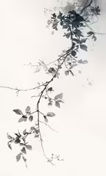 a tree branch with leaves on a pale background