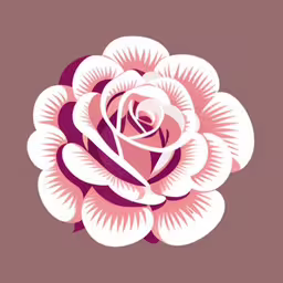 the large white rose has a long stem in it,a close up of a flower with a brown background